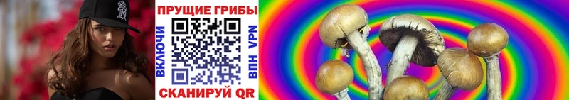 Купить закладки  Новошахтинск  Галлюциногенные грибы мицелий 